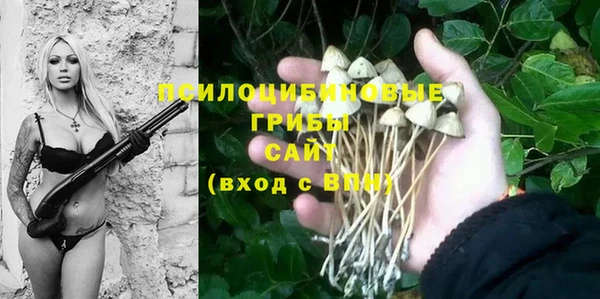 мдпв Богданович