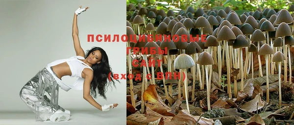гашишное масло Богородицк