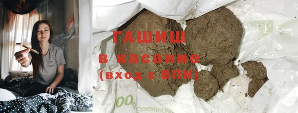гидра Богородск